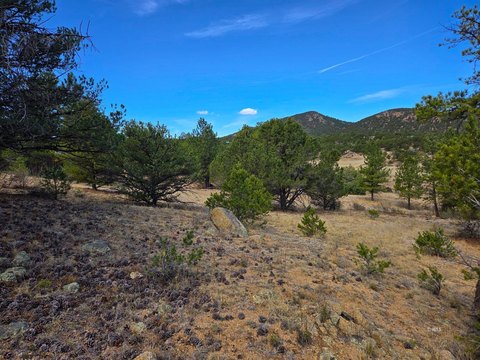 Buildable Lot with Mountain Views