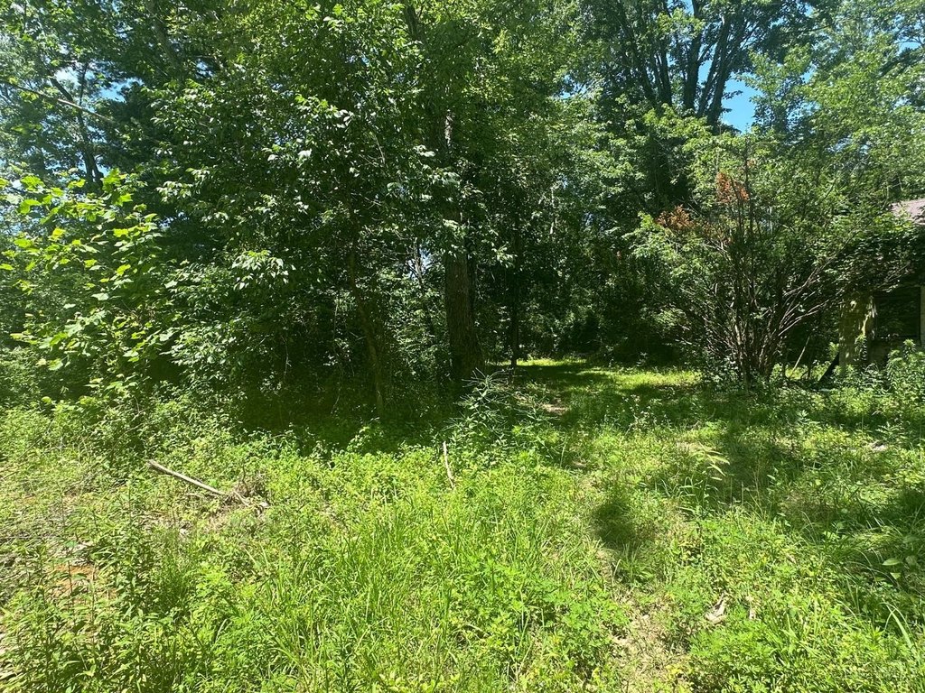 Picture 24