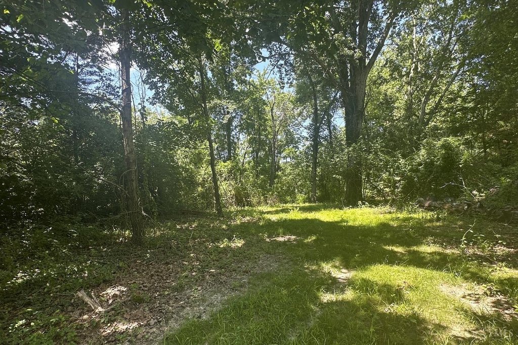 Picture 23