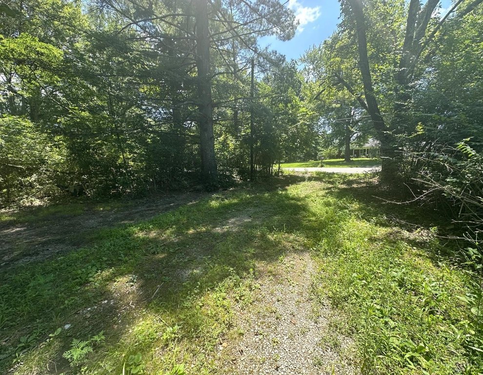 Picture 20
