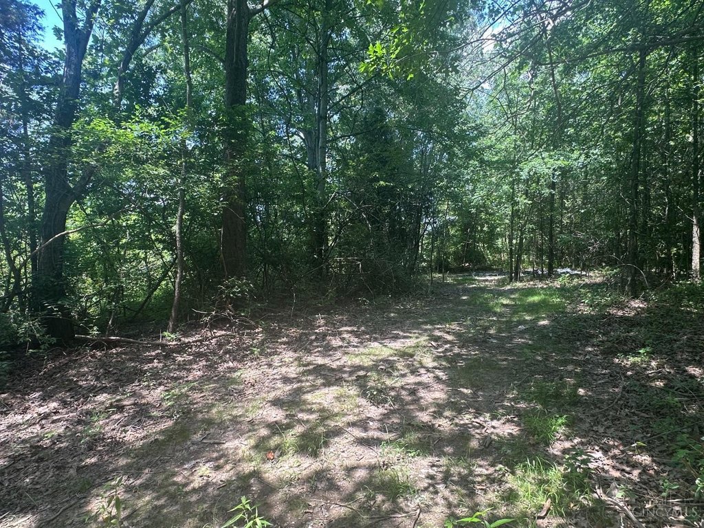 Picture 30