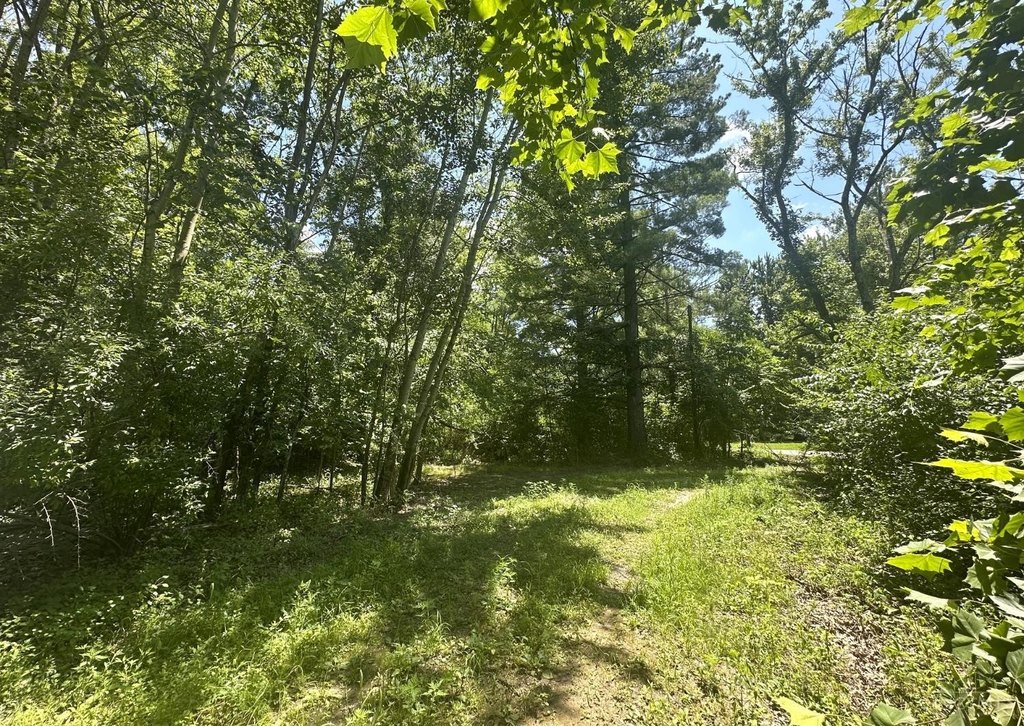 Picture 22
