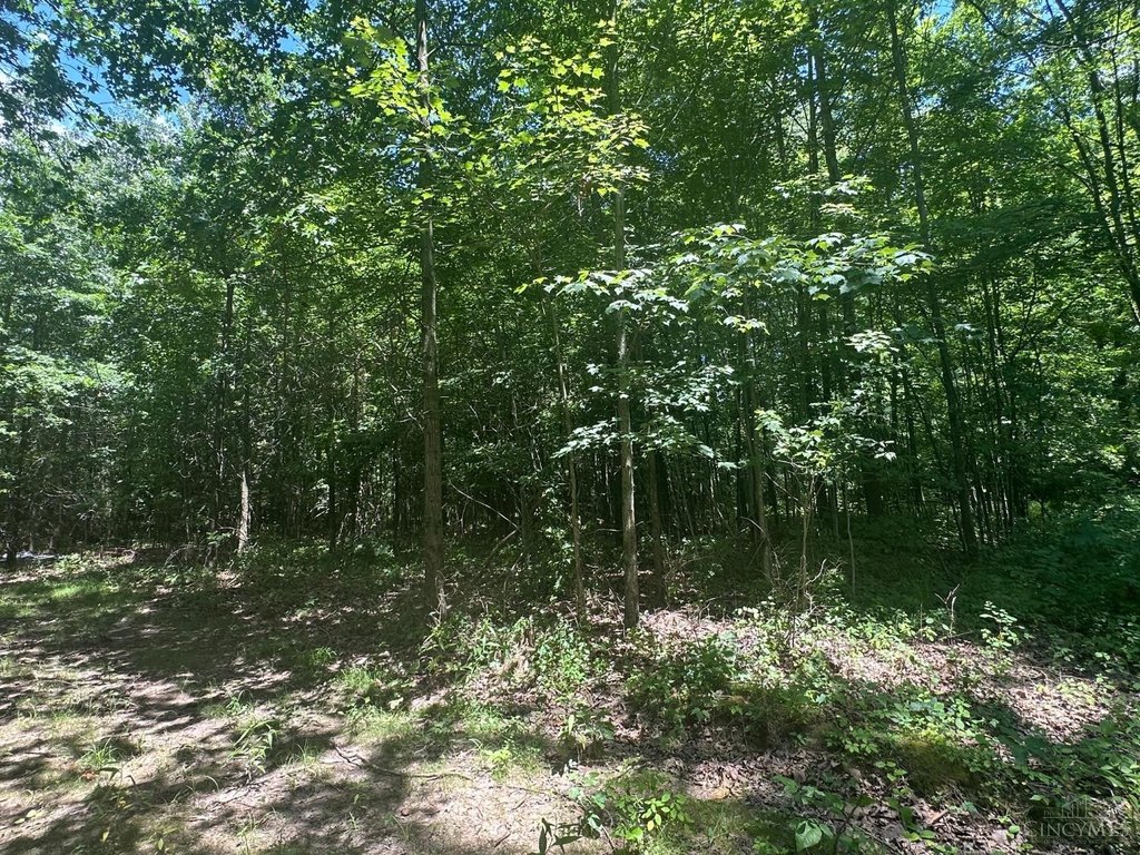 Picture 27