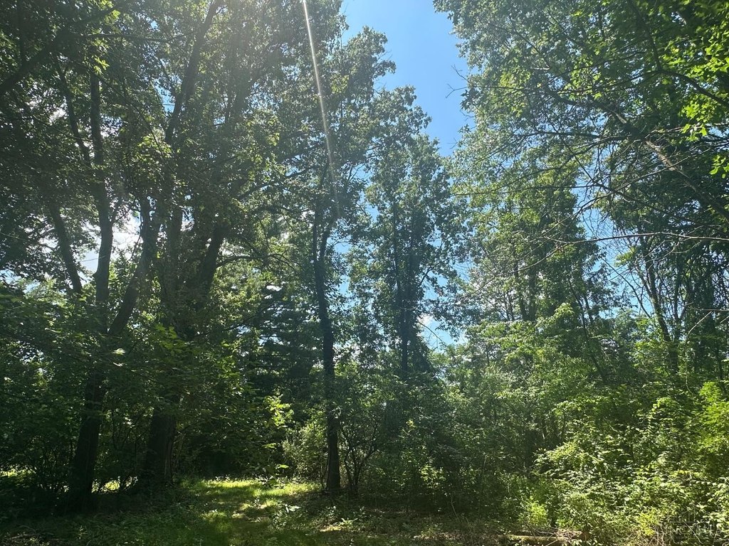 Picture 28