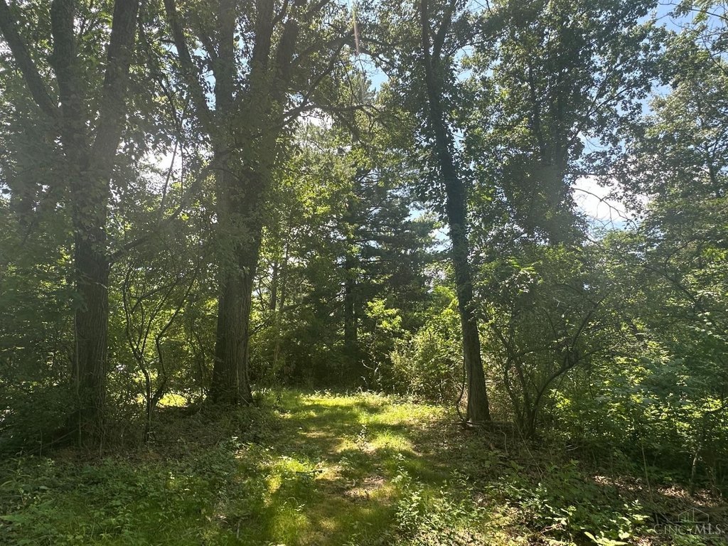Picture 26