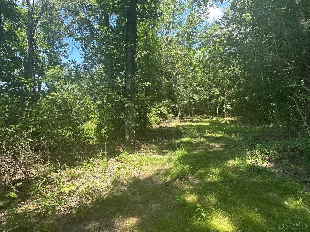 Picture 25