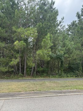 LAND - Hattiesburg, MS