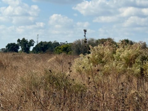 High and Dry Land with Frontage