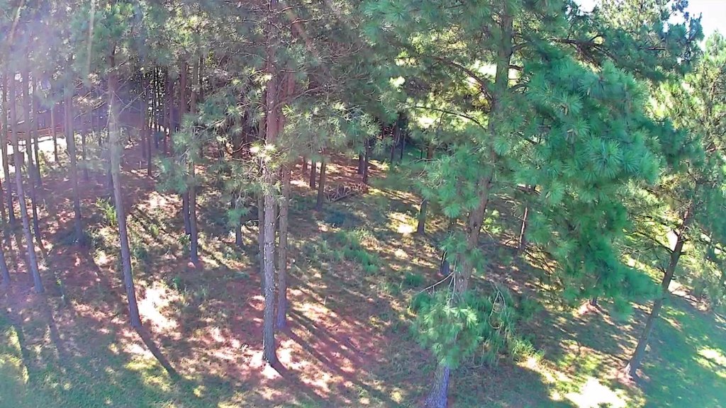 Picture 8