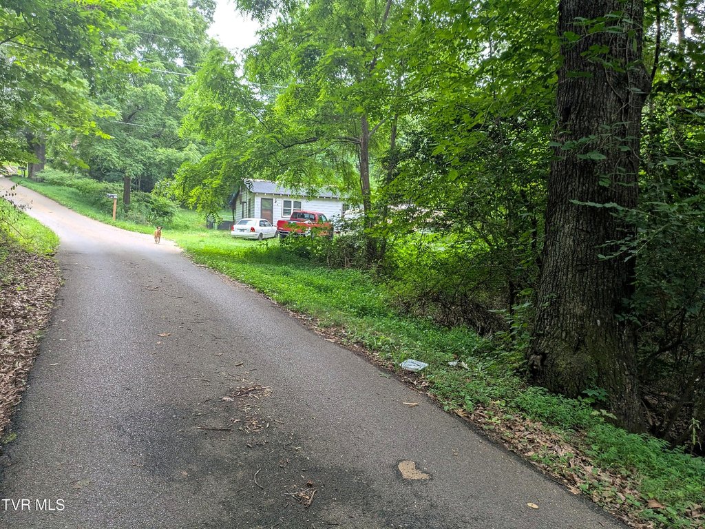 Picture 19