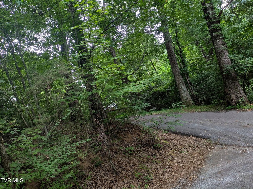 Picture 25