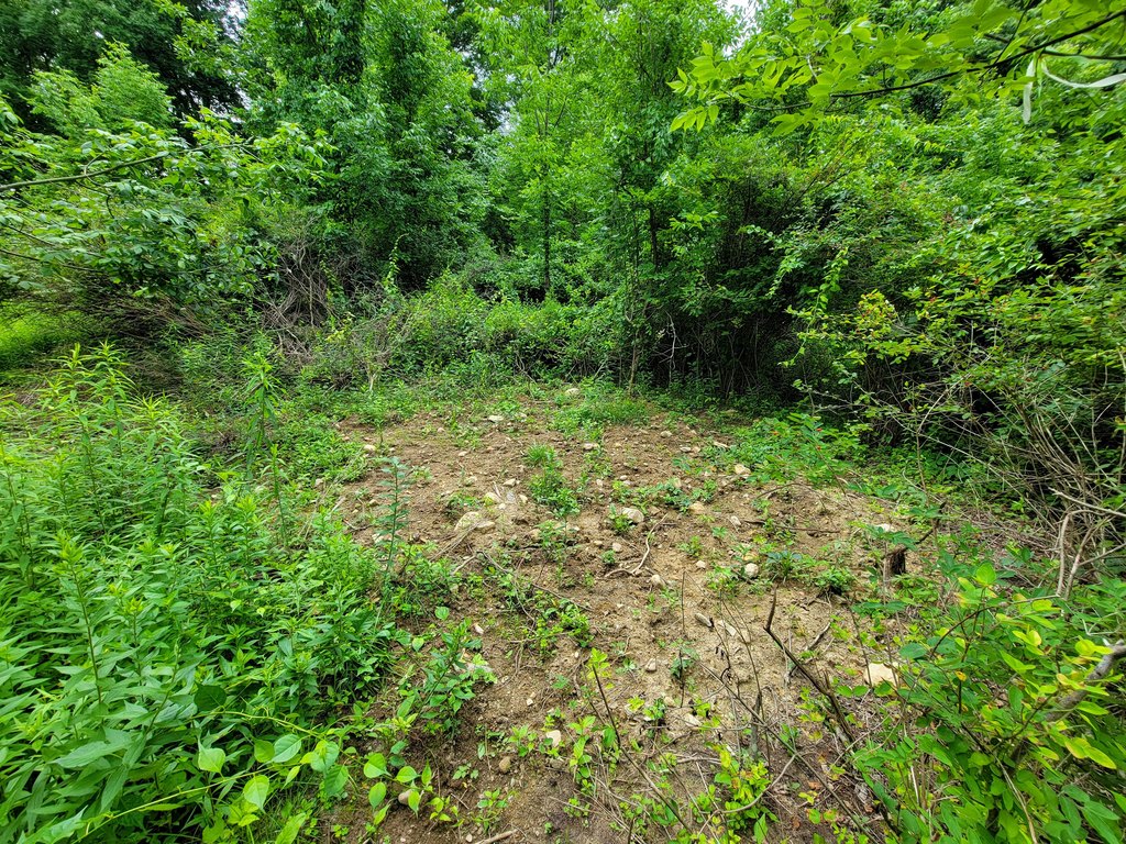 Picture 30