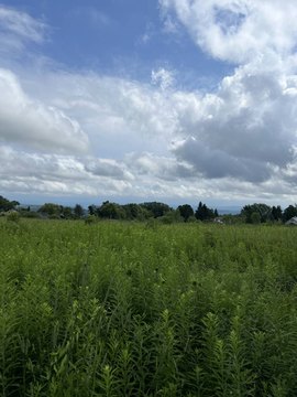 Utica Vacant Land For Sale