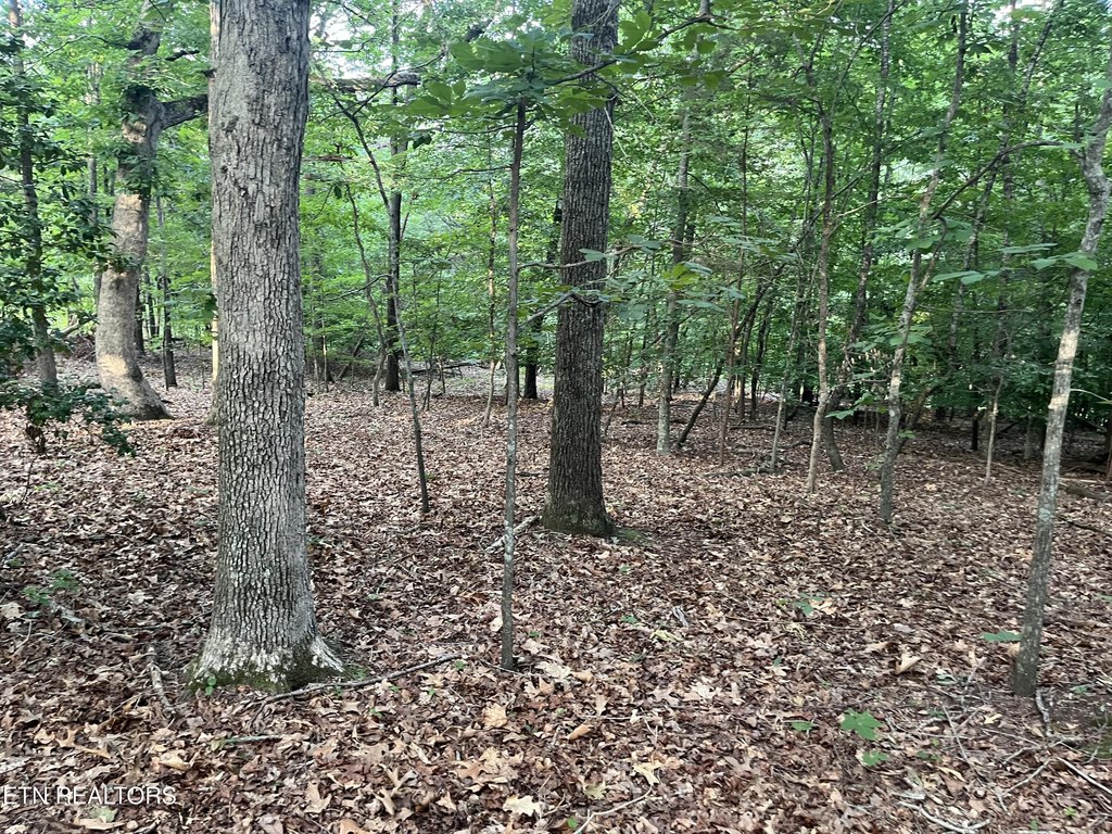 Picture 16