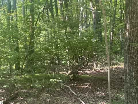 Residential Lot in Gated Community