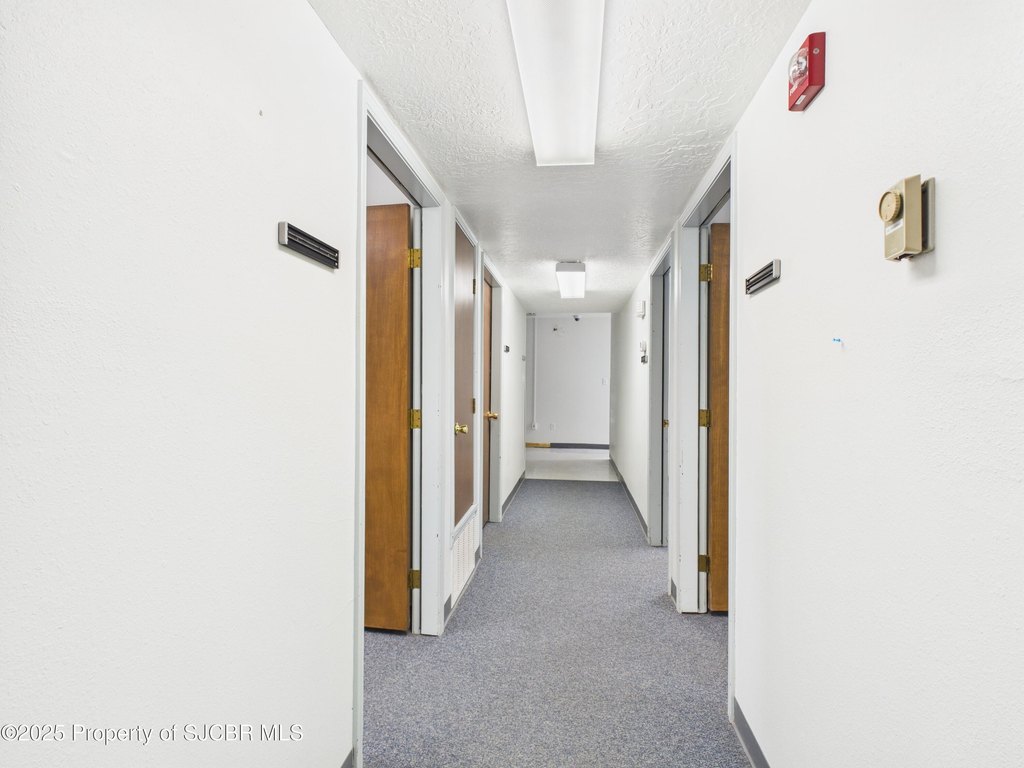 Picture 31