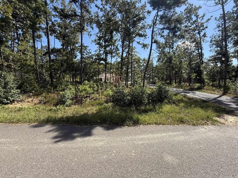 Vacant Land, Hot Springs Village, AR