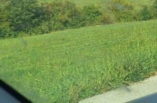 Land, Flemingsburg, KY