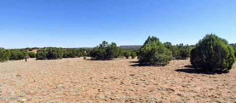 Land in Show Low, AZ