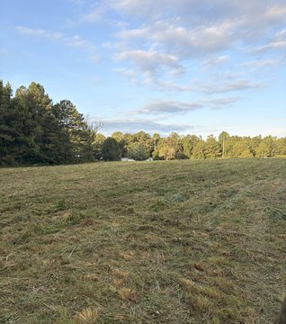 Land, Henagar, AL