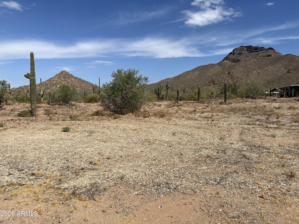 Picture 5