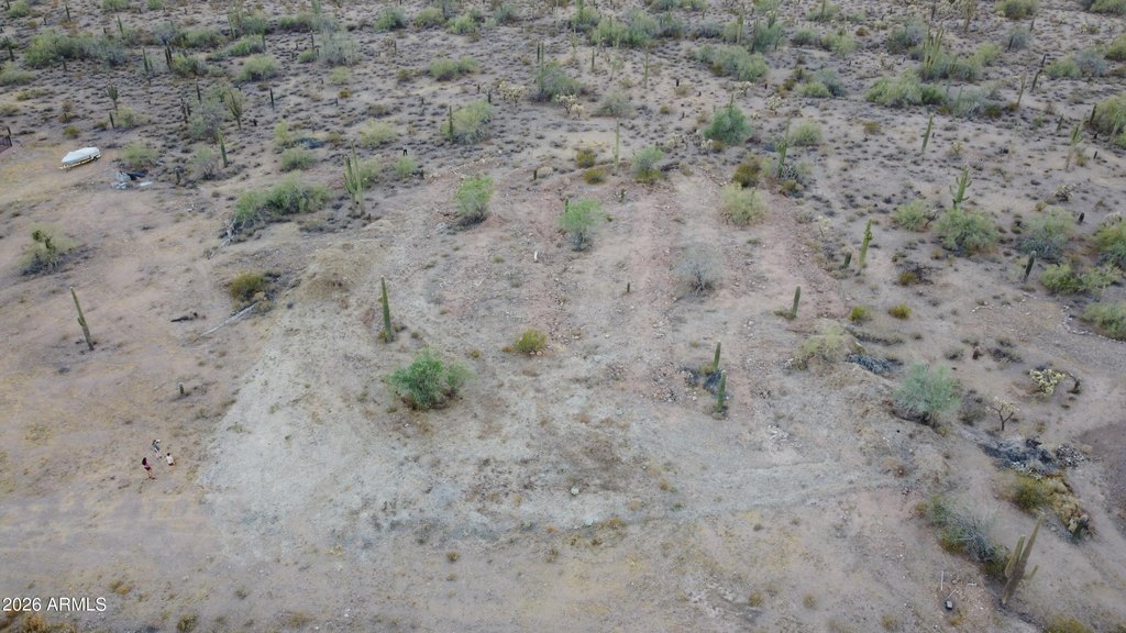 Picture 3