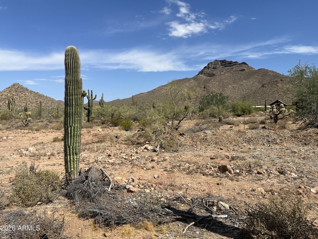 Picture 6