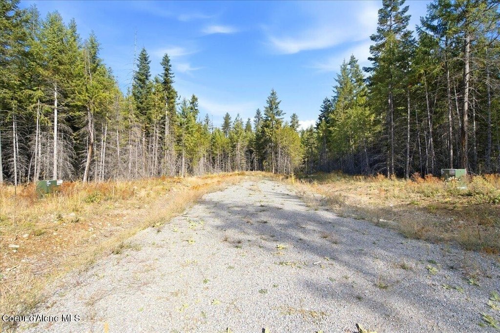 Picture 19