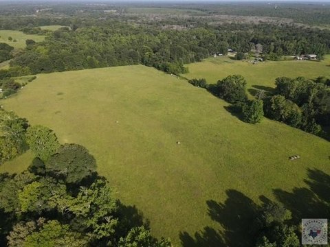 Fenced Agricultural Pasture