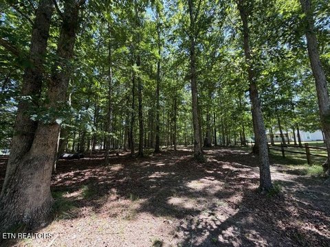 LAND - Crossville, TN