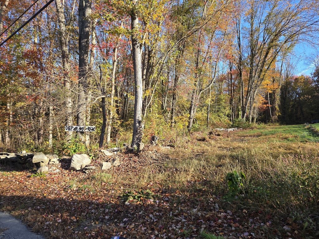 Picture 4