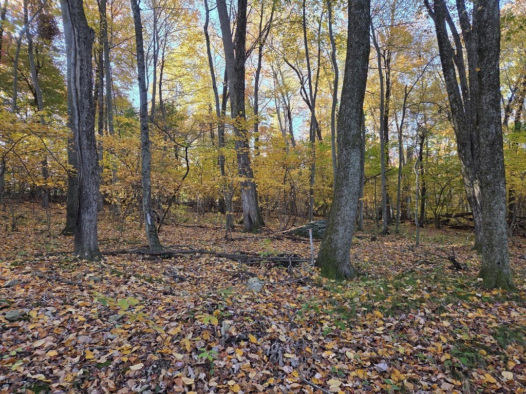 Picture 8