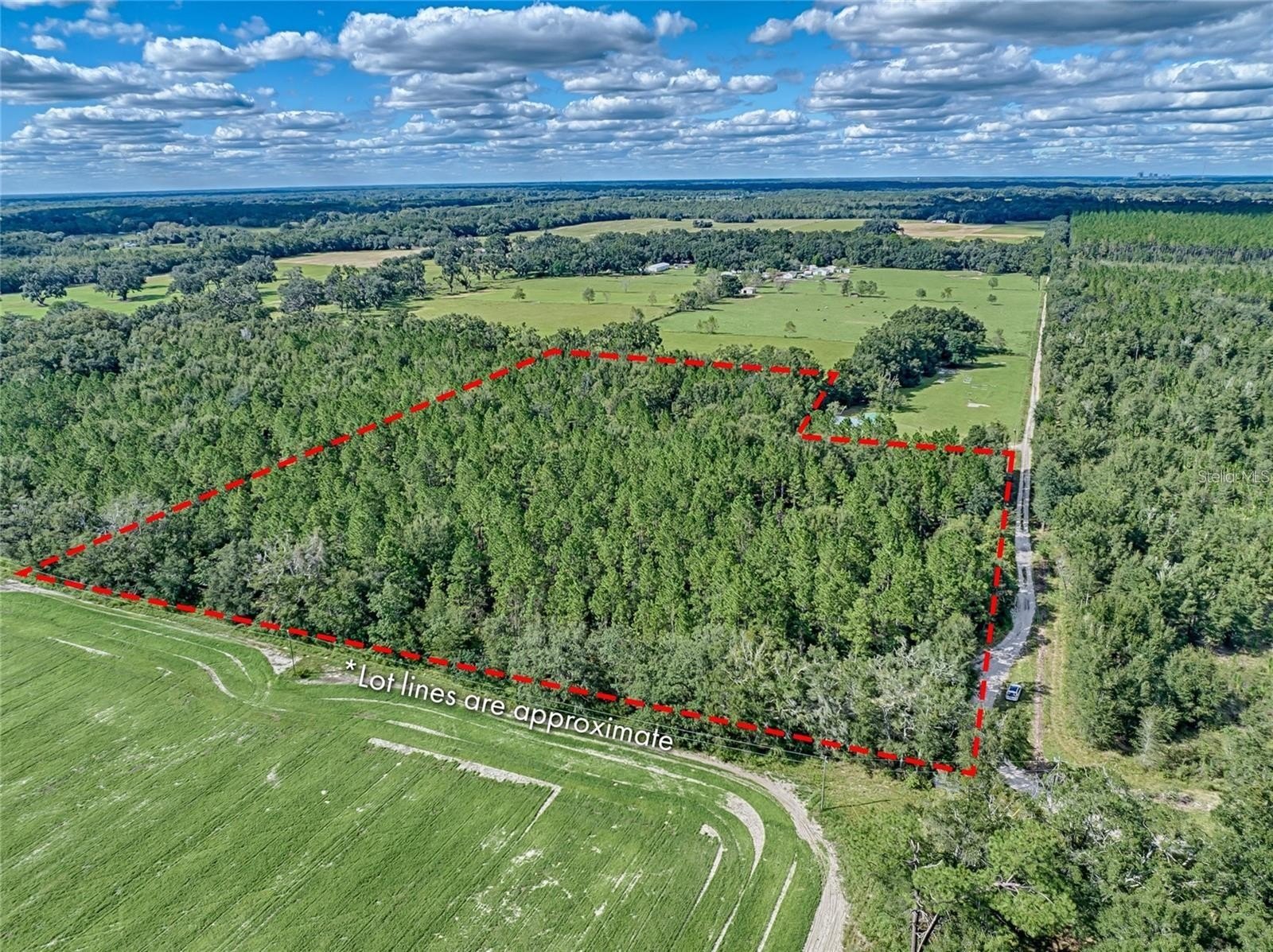 Land in Newberry, Florida