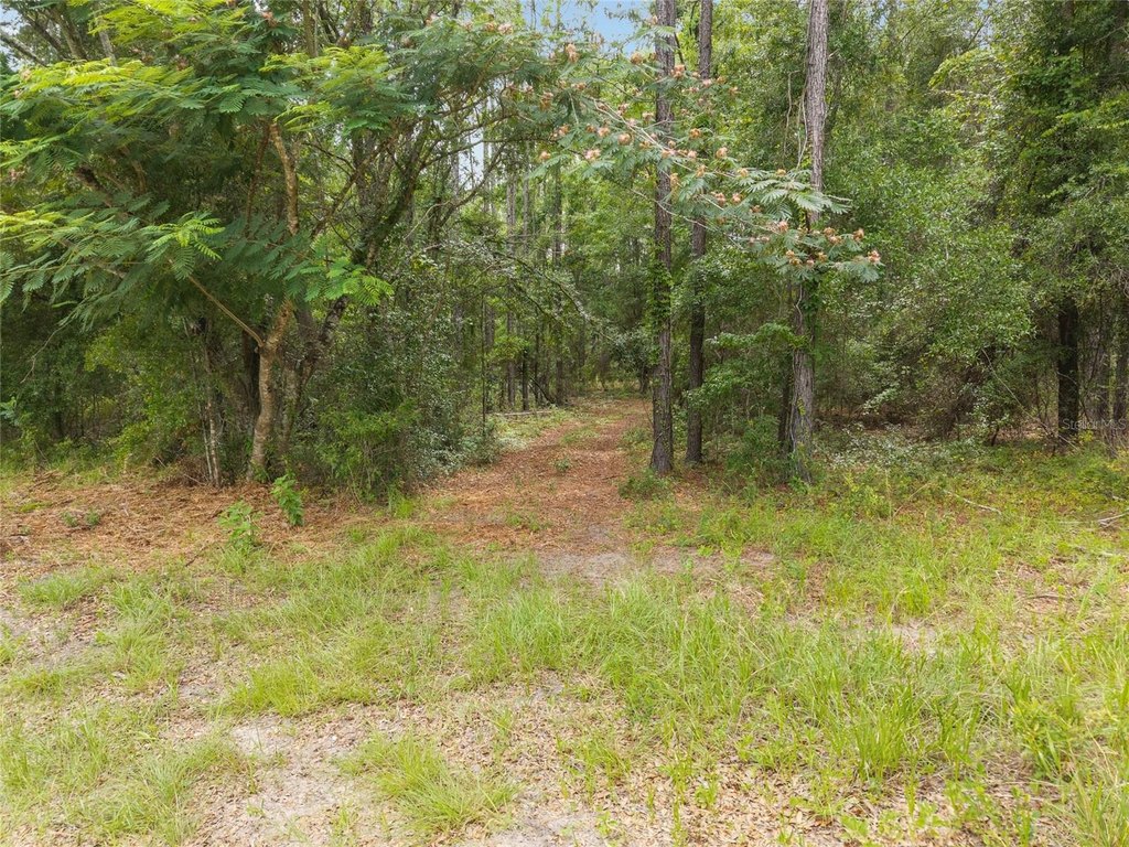 Picture 22