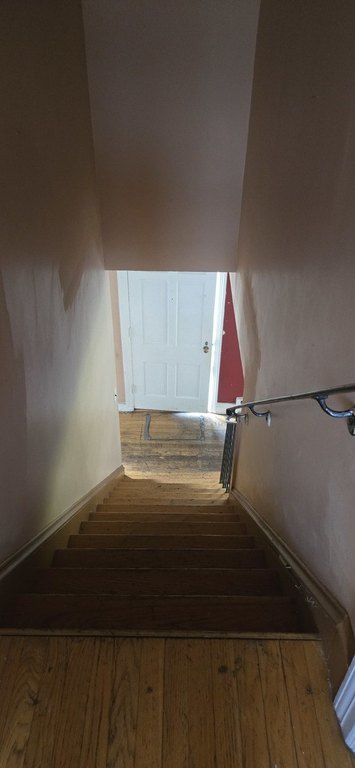 Picture 7