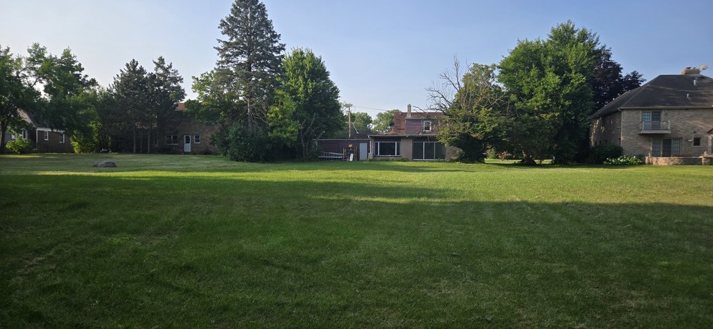 Picture 20