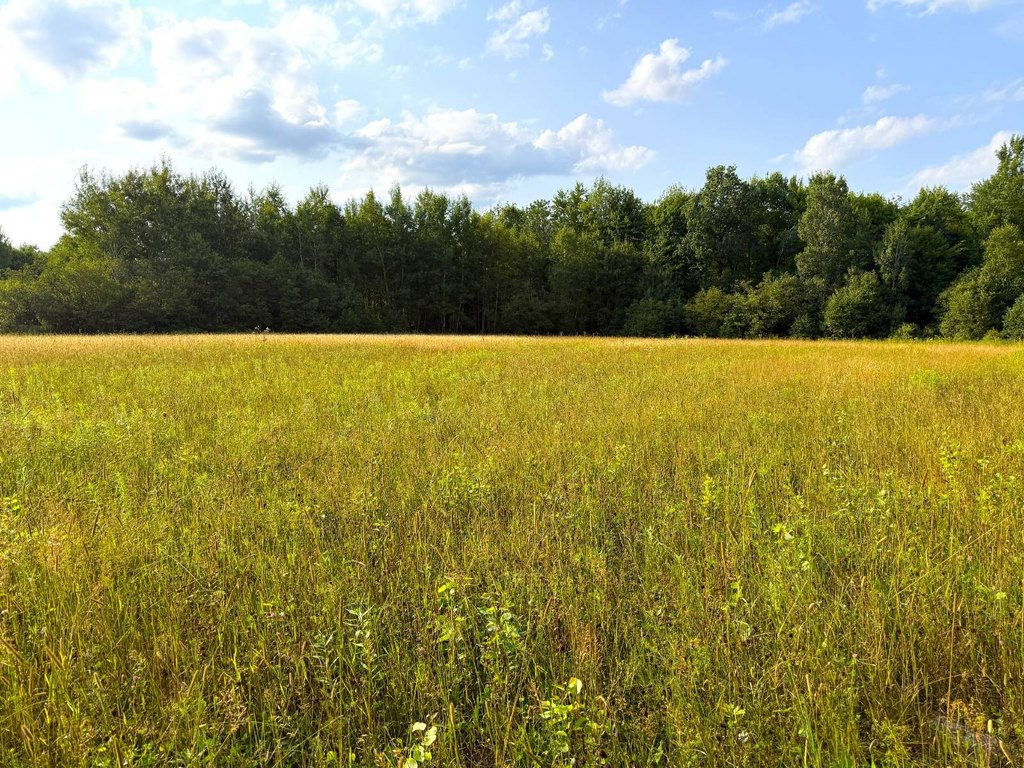 Picture 24