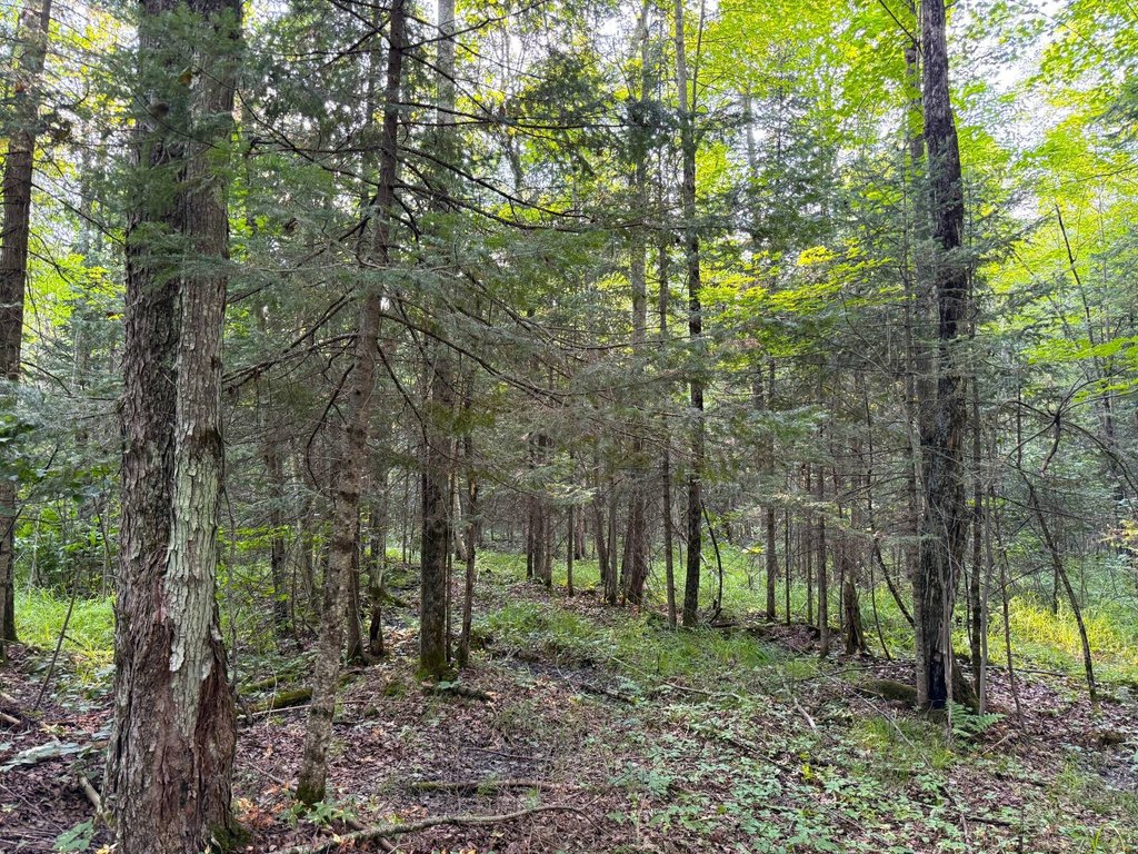 Picture 42