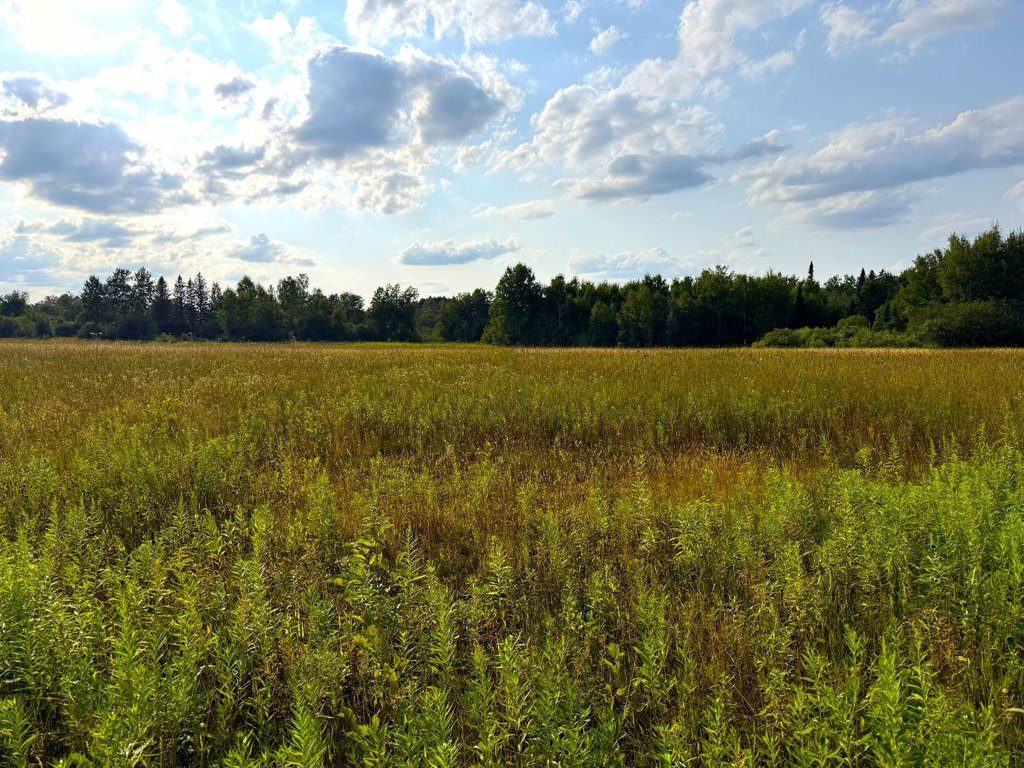 Picture 26