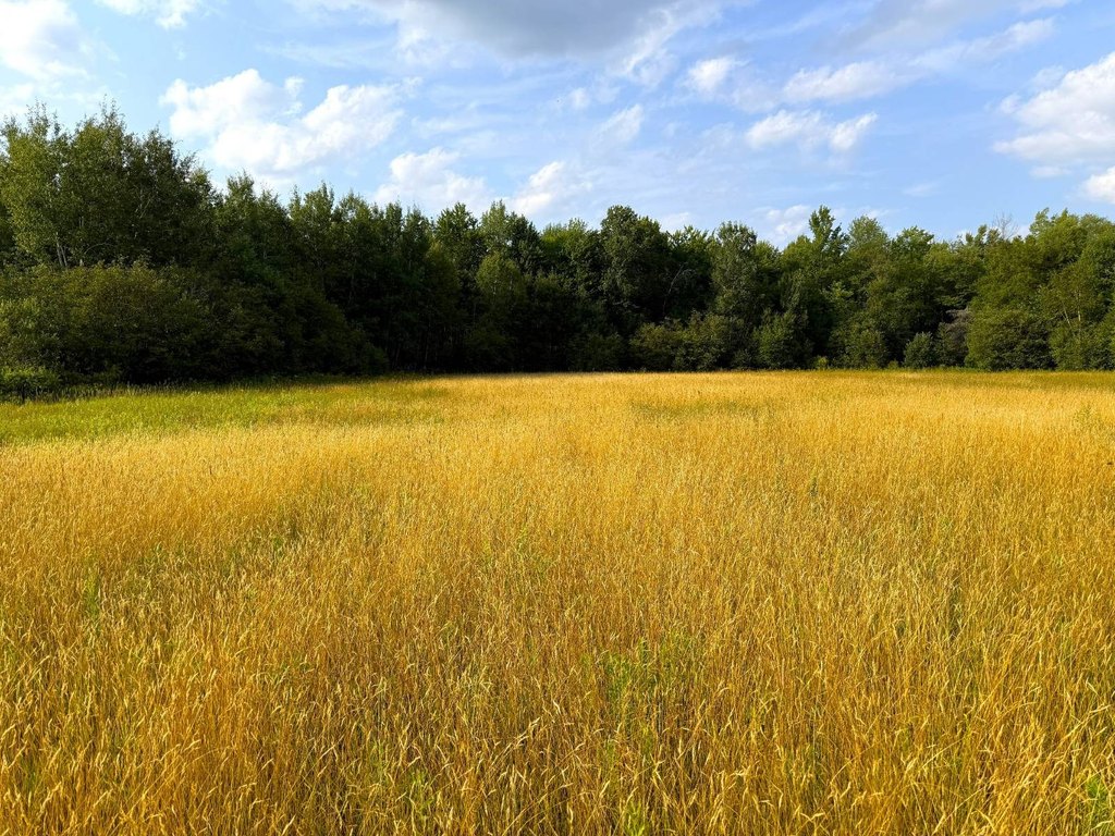 Picture 22