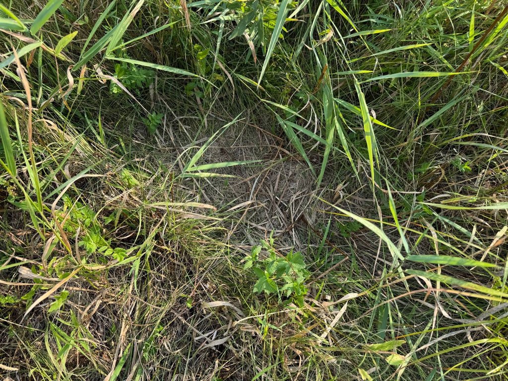 Picture 21