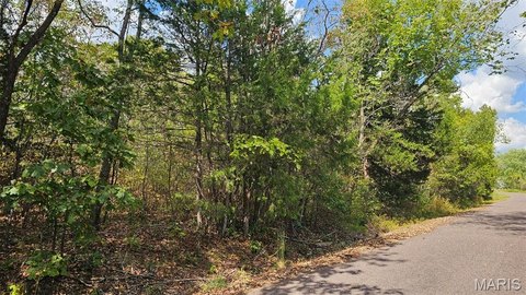 Lake Sherwood Wooded Residential Land