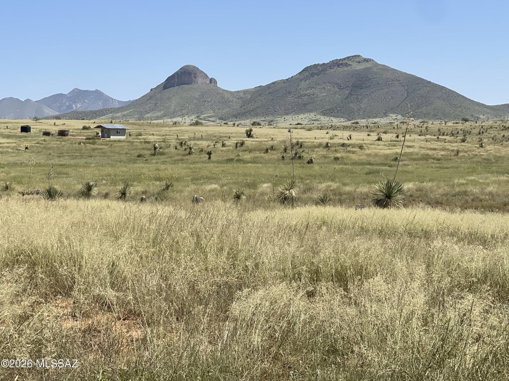 Picture 21