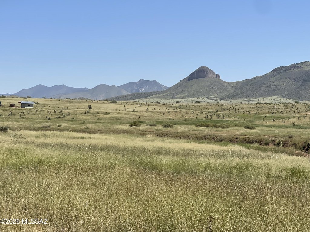 Picture 23