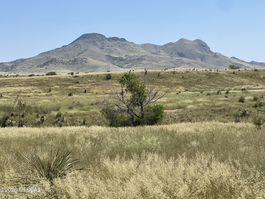 Picture 22