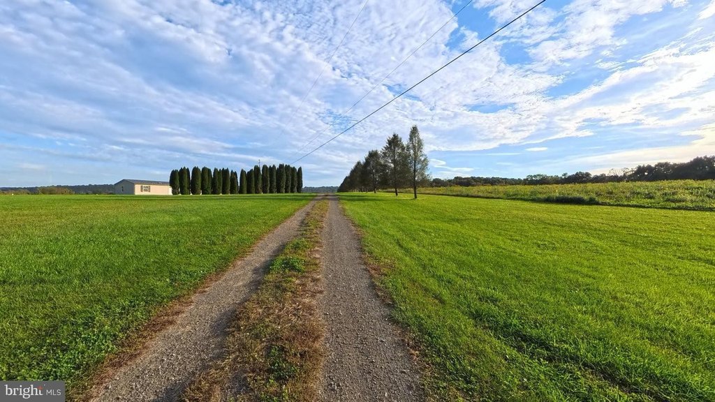 Picture 48