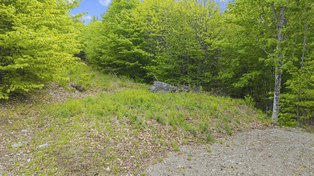 Picture 7