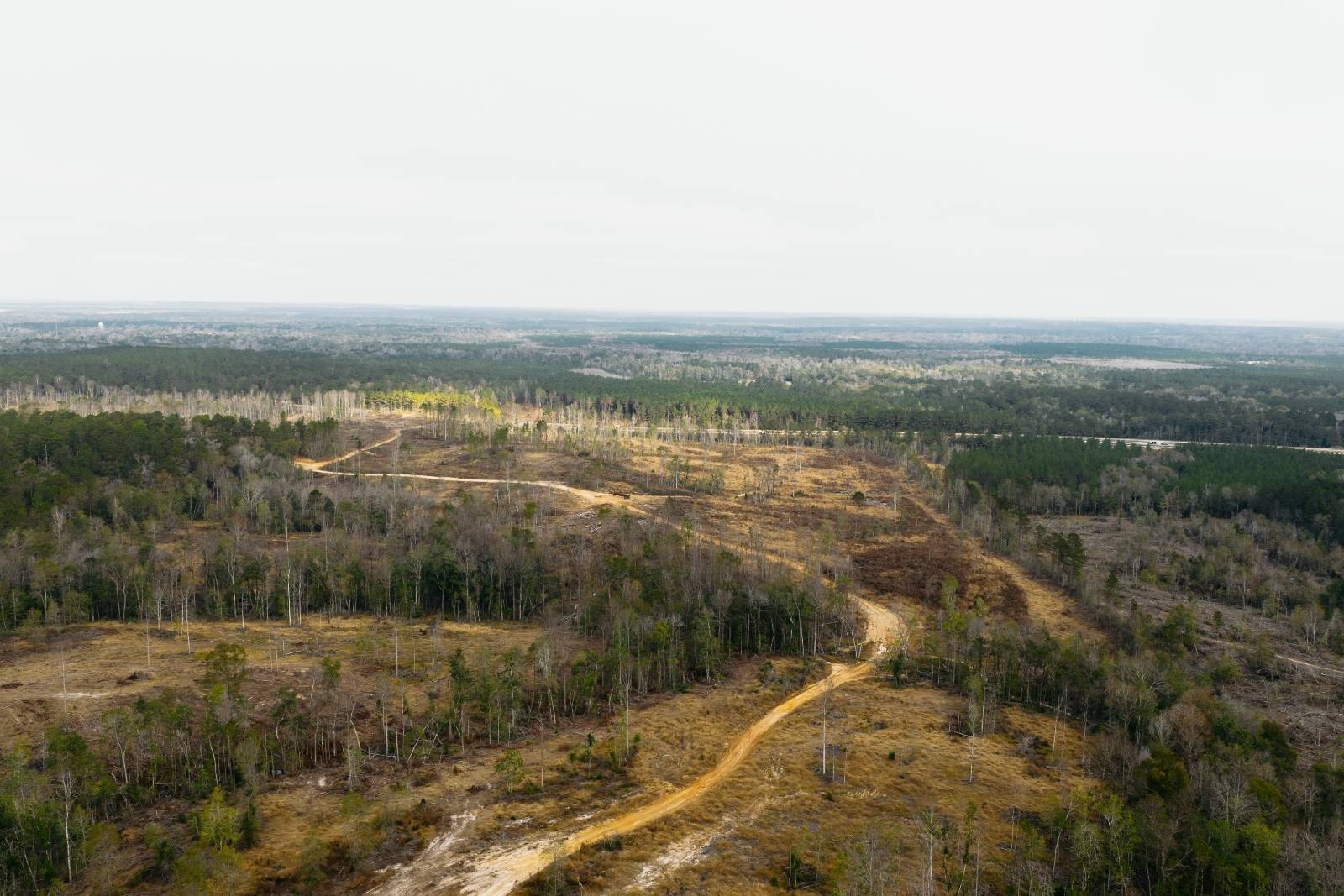 216 Acres Vacant Land Ready