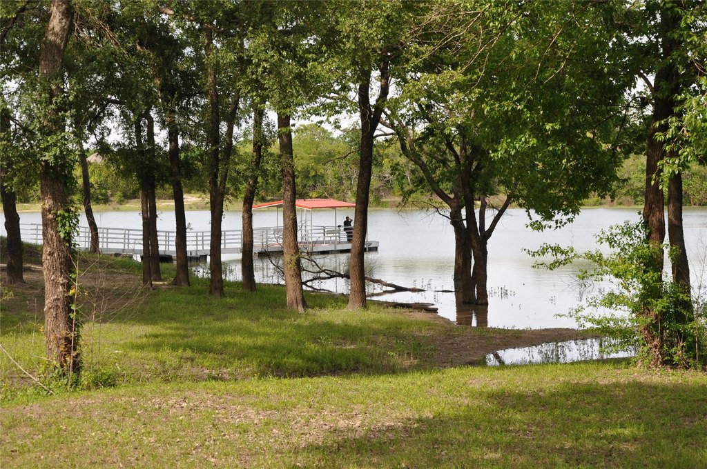 Picture 21