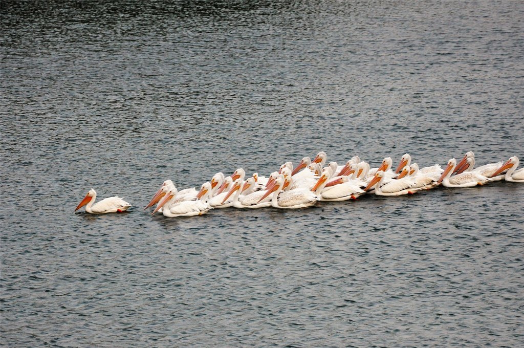 Picture 30